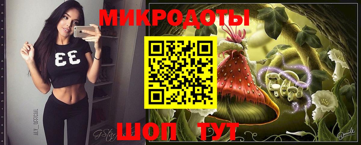 Псилоцибиновые грибы Cubensis Михайловск
