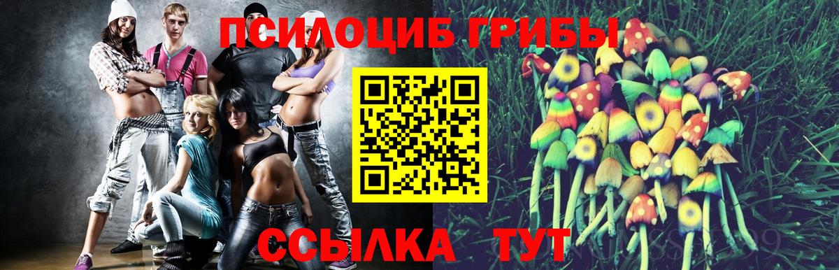 Галлюциногенные грибы мухоморы  Вход с VPN  Михайловск 